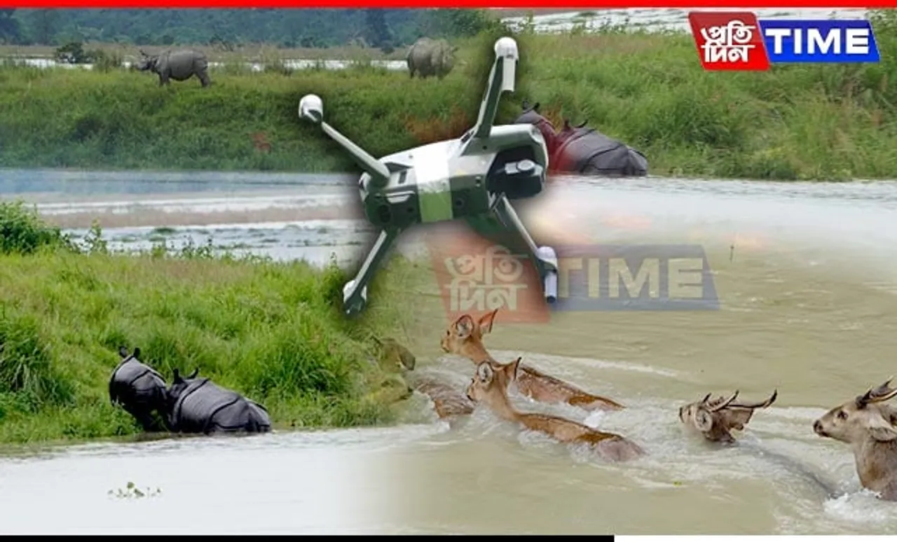 Kaziranga Implements Drone Surveillance and Rescue Measures Amid Flood Crisis